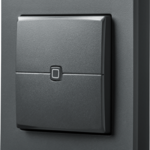 antracit - HmIP-WRC2-A-2